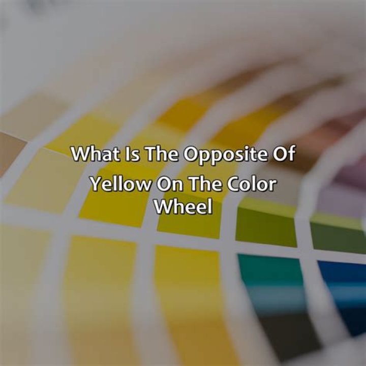 What is the opposite of colorful?