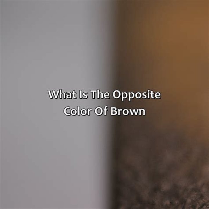 What is the opposite of rowdy?