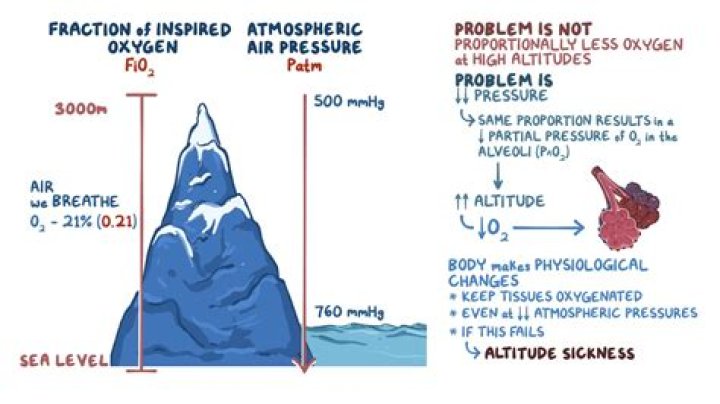What is the partial pressure of oxygen at the top of Mt Everest?