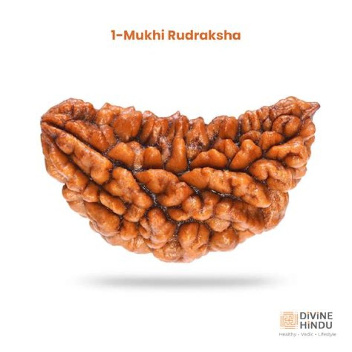 What is the price of 1 Mukhi Rudraksha?