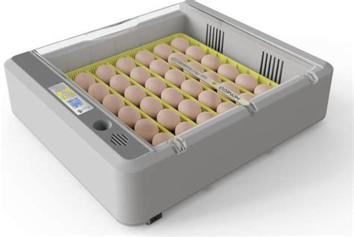 What is the price of an incubator?