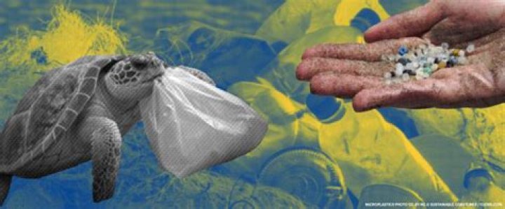 What is the problem with trash in the ocean?