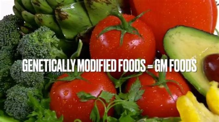 What is the purpose of genetically modified foods?
