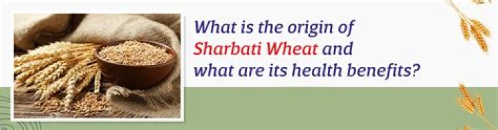 What is the rate of Sharbati wheat?