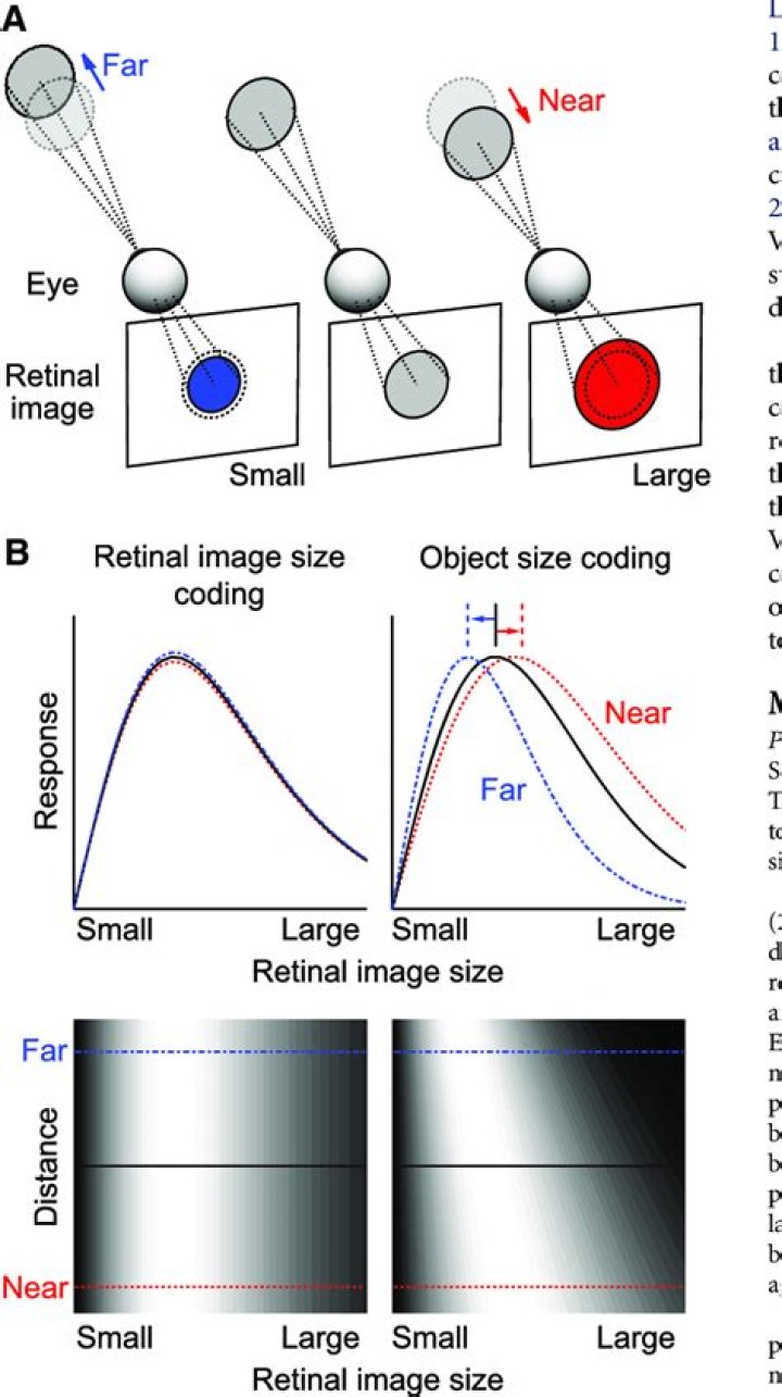 What is the relationship between distance and the size of the retinal image?