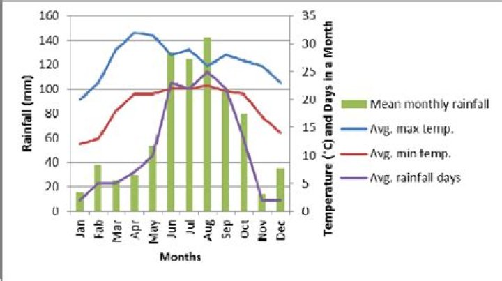 What is the relationship between rainfall and temperature?