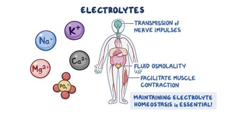 What is the role of an electron?