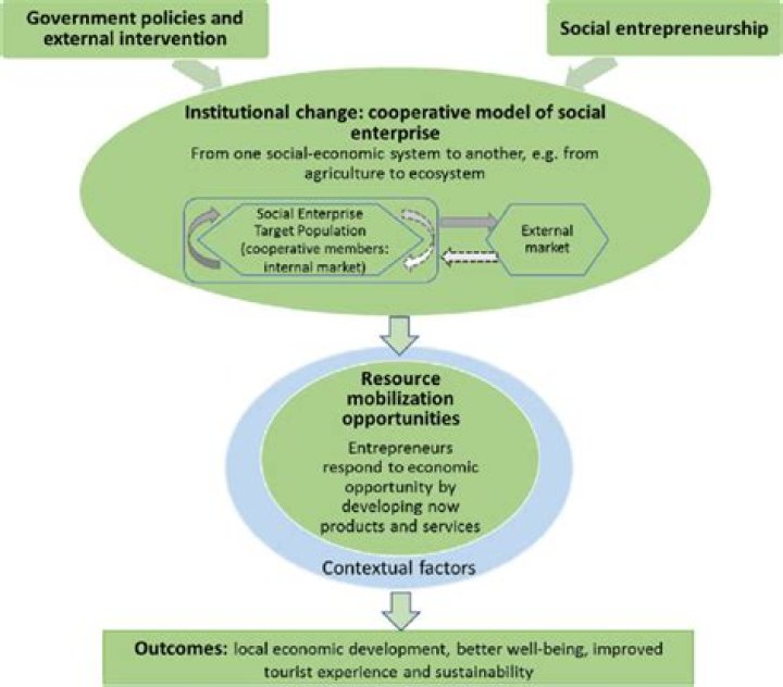 What is the role of social entrepreneurship in the current economic system?
