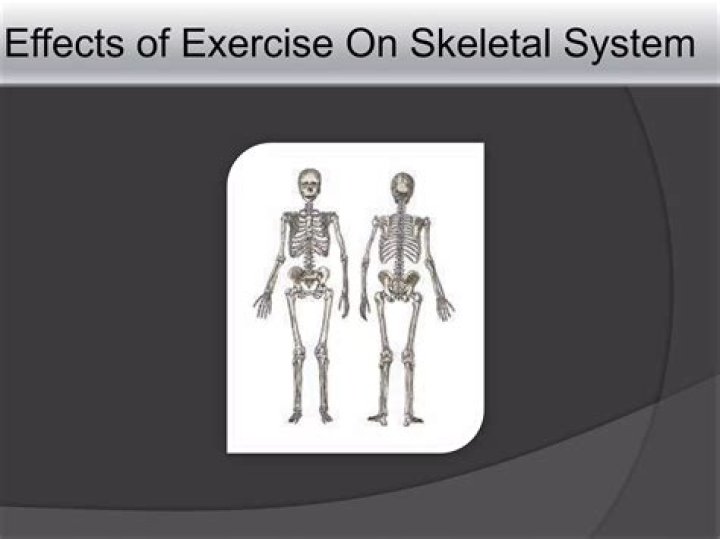 What is the short term effect of exercise on the skeletal system?