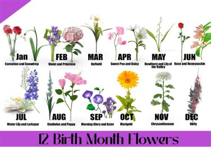 What is the significance of Feb 20?
