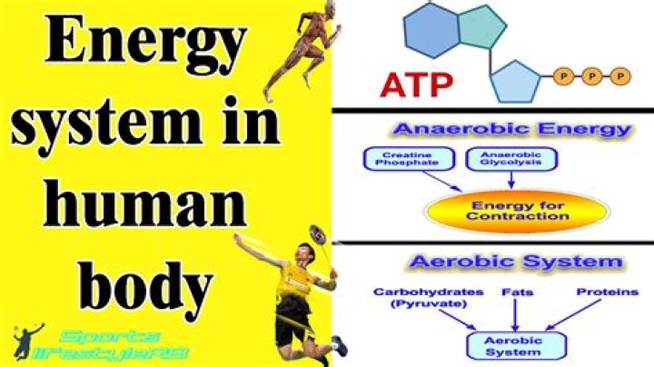 What is the similarities between aerobic a lactic and anaerobic lactic system?