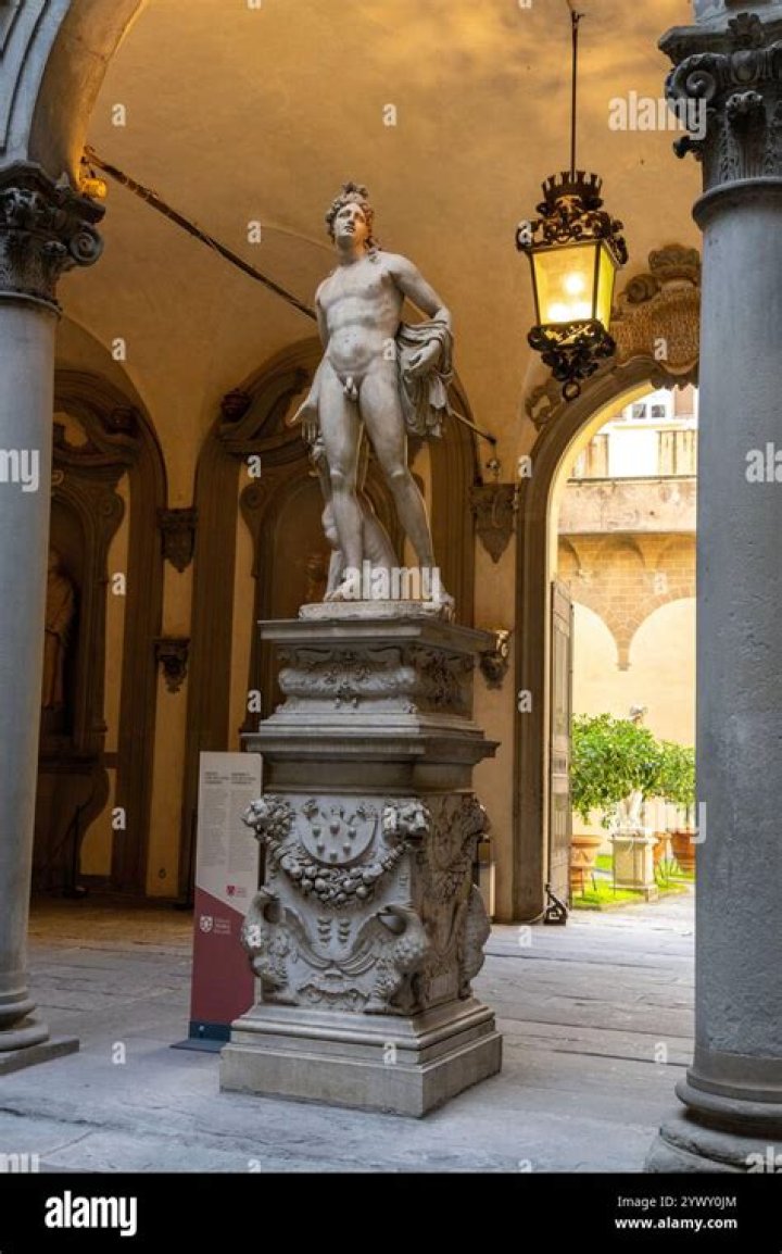 What is the statue in the Medici courtyard?