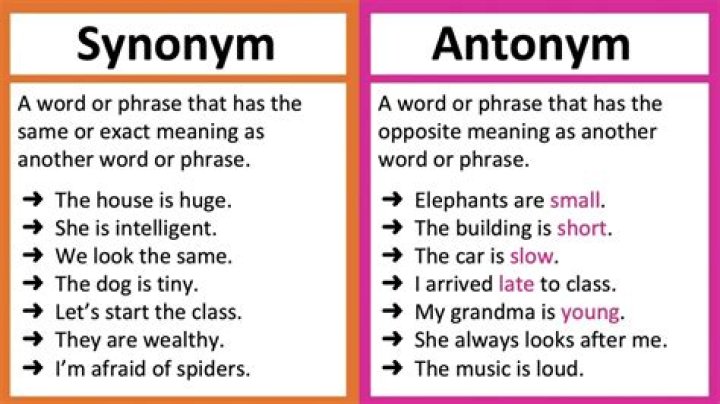 What is the synonym and antonym of absurd?
