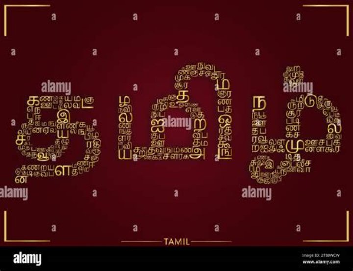 What is the Tamil word for online?
