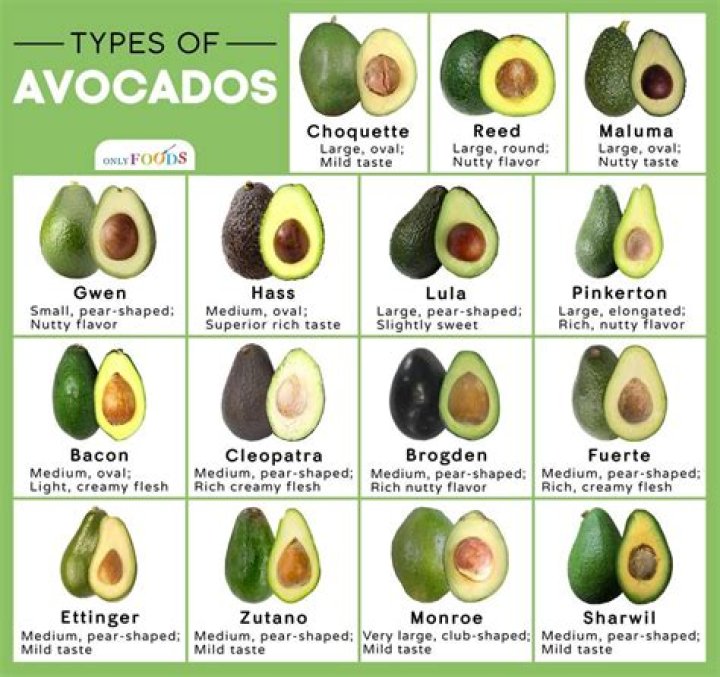 What is the taste of avocado fruit?