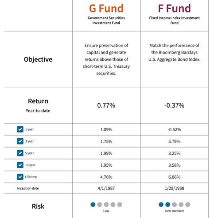 What is the TSP F fund invested in?