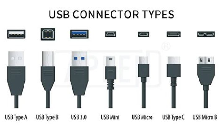 What is the Type 25?