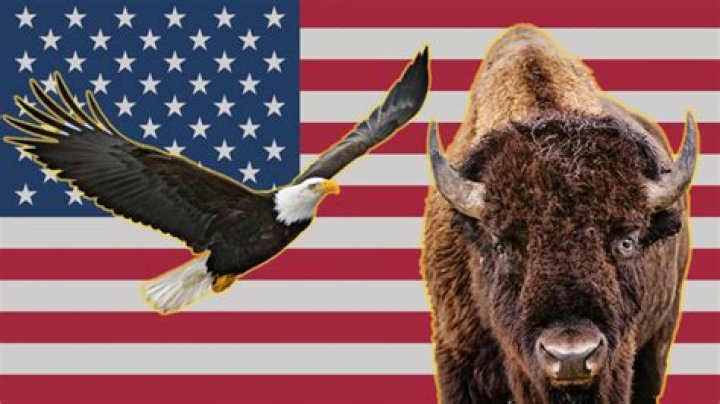 What is the USA national animal?