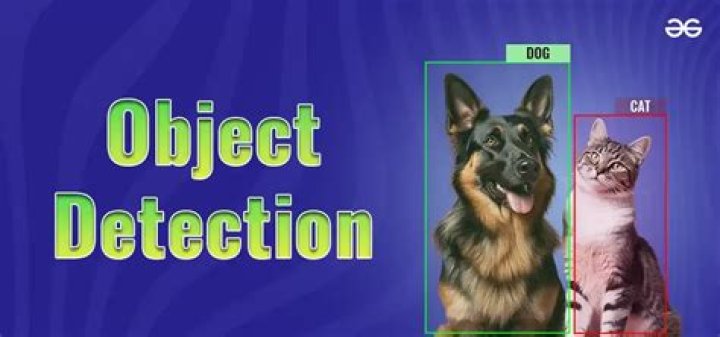 What is the use of object detection?