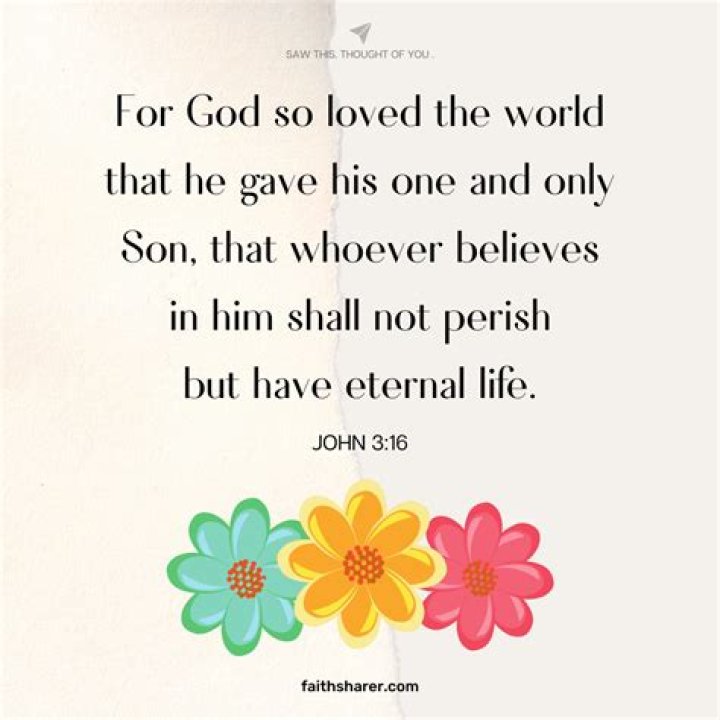 What is the verse John 316?