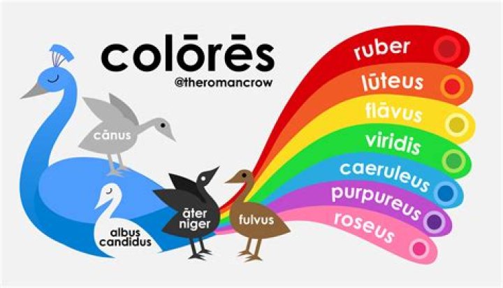 What is the word blue in Latin?