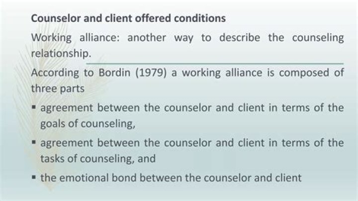 What is the working alliance in Counselling?