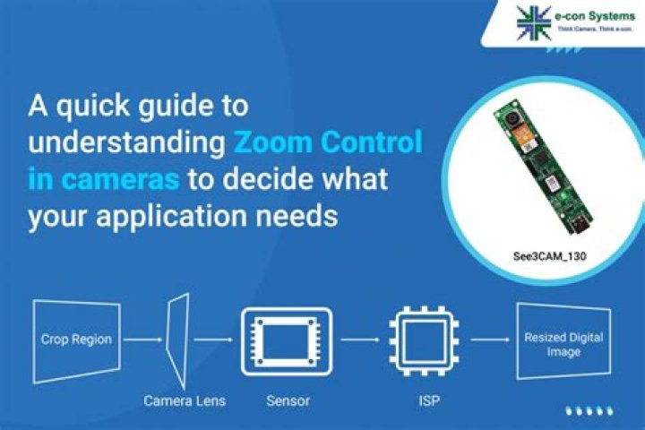 What is the zoom basic plan?