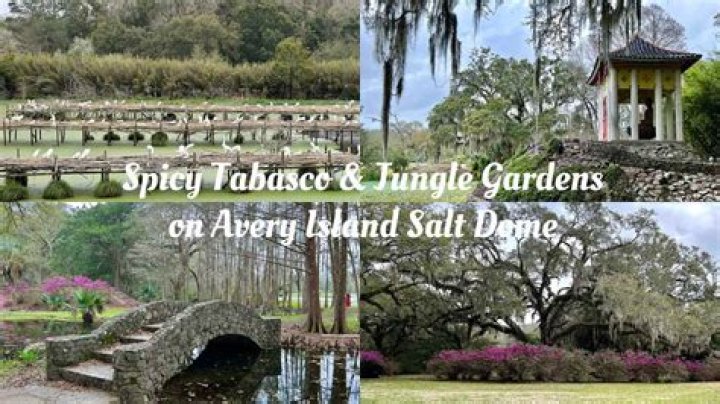 What is there to do in Avalon GA?