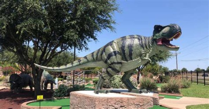 What is there to do in Burleson TX today?