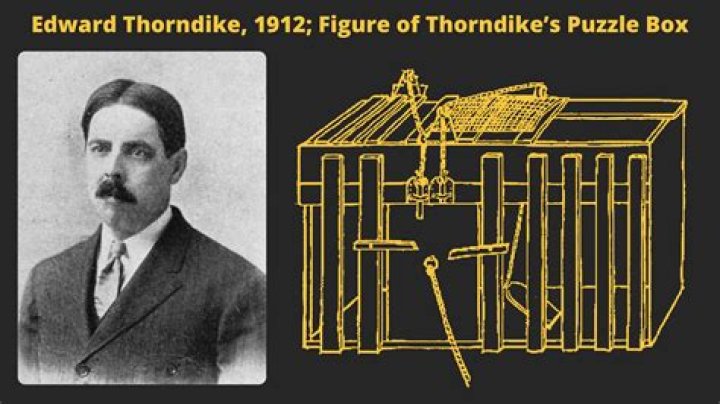 What is Thorndike's puzzle box?