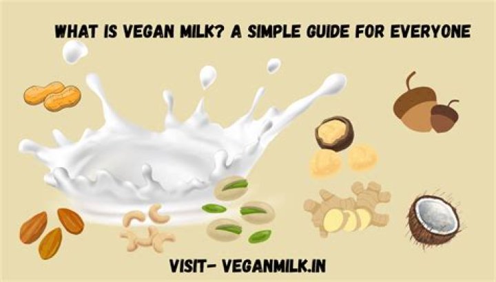 What is vegan milk called?