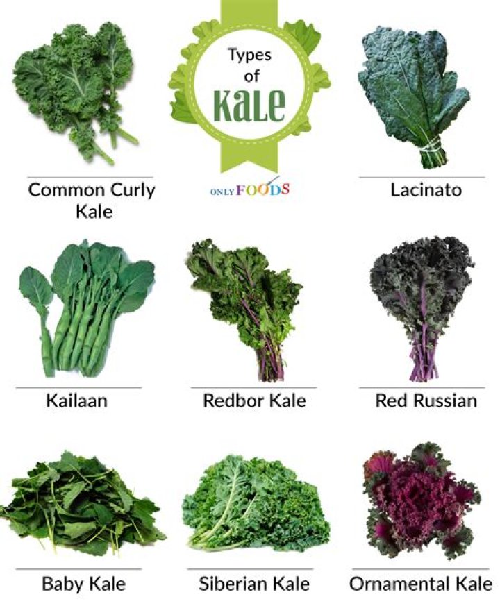 What is vegetable kale?