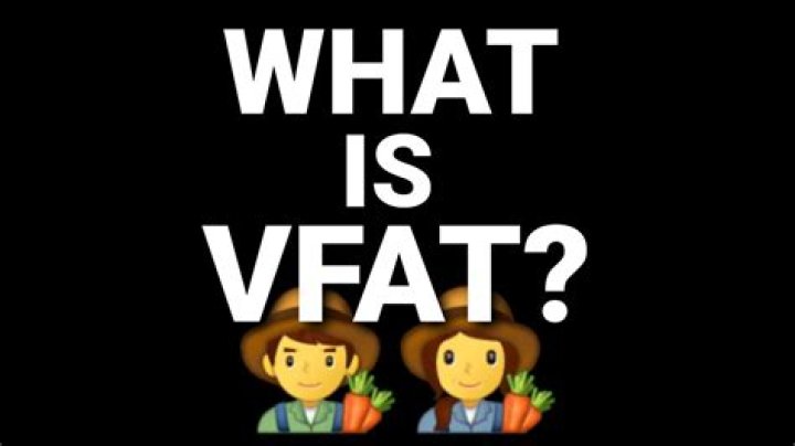 What is Vfat?