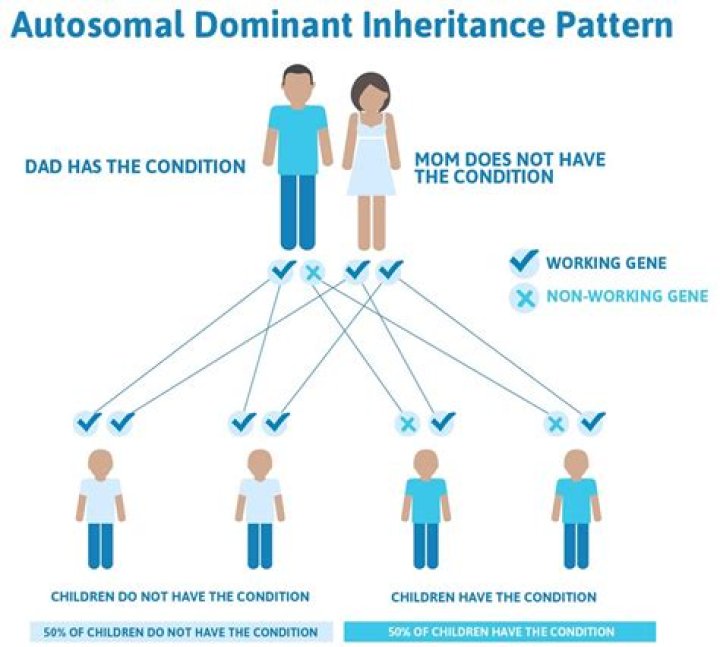 What is VWD in pregnancy?