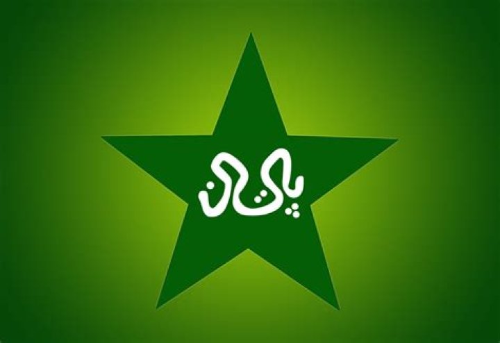 What is written in Pakistan cricket logo?
