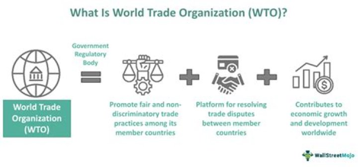 What is WTO TBT?