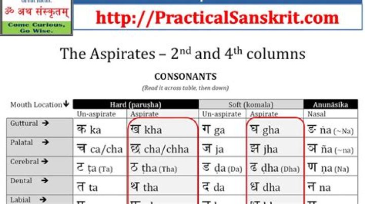 What is your called in Sanskrit?