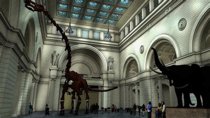 What kind of dinosaur is Maximo?