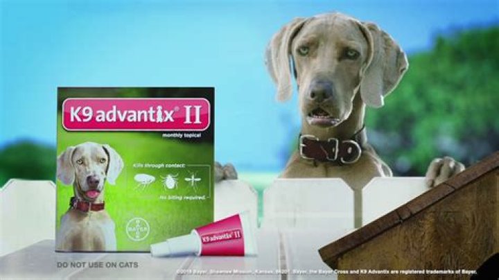 What kind of dog is in the K9 Advantix 2 commercial?