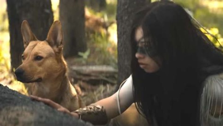 What kind of dog is in the predator?