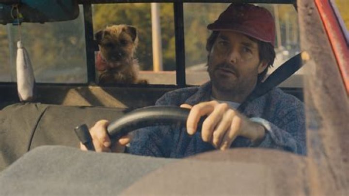 What kind of dog is Iron Man?