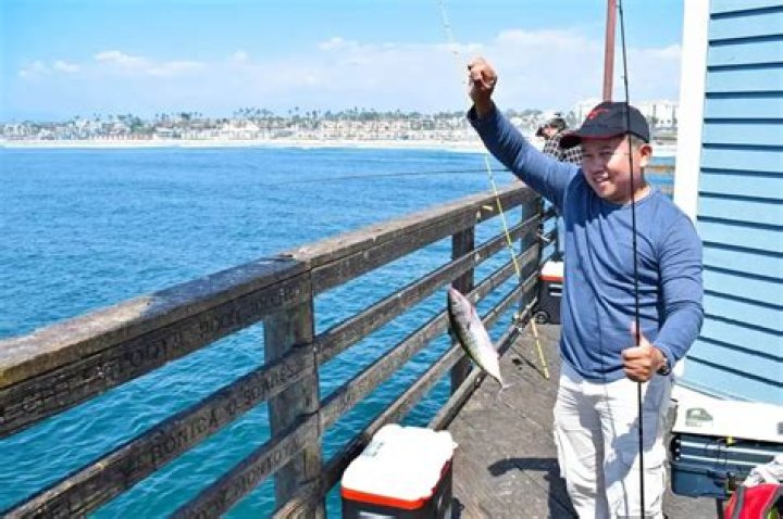 What kind of fish are at Oceanside Pier?