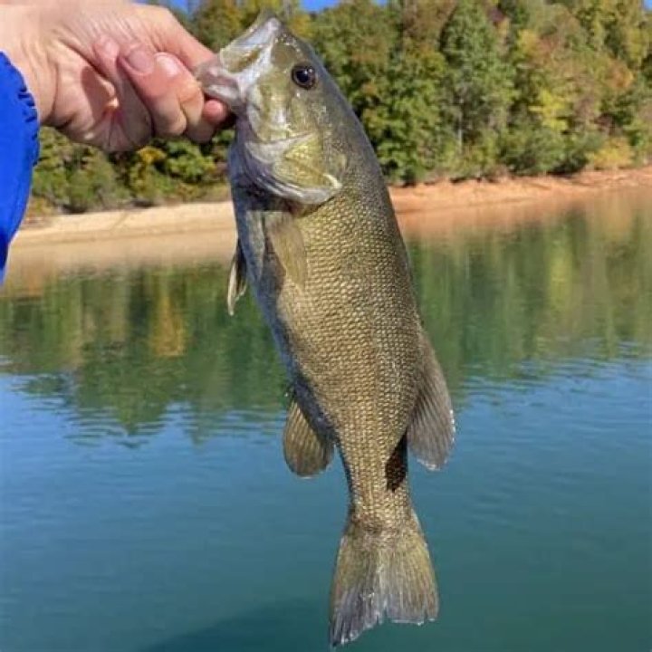 What kind of fish are in Echo Reservoir?