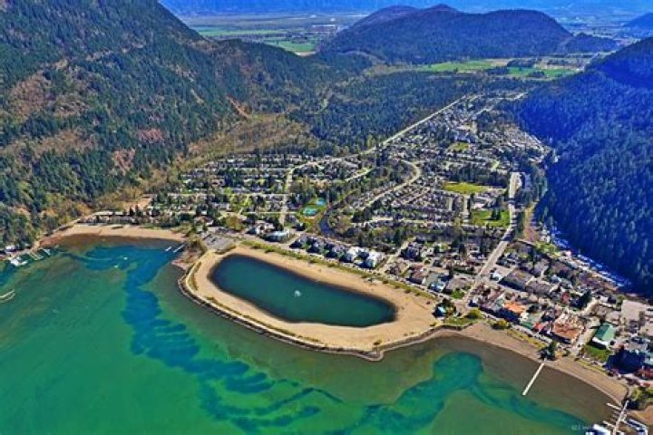 What kind of fish are in Harrison Lake BC?