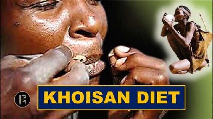 What kind of food did the Khoikhoi eat?