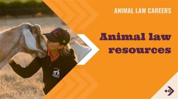 What kind of law is animal law?