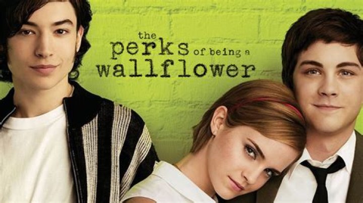 What kind of movie is Perks of Being a Wallflower?