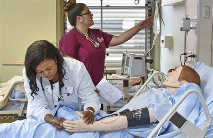 What kind of nurse works at a school?