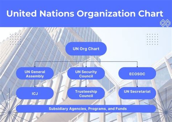 What kind of organization is DAI?