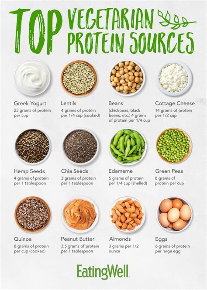 What kind of protein is Vega?